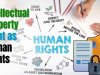 INTELLECTUAL PROPERTY RIGHTS AS HUMAN RIGHTS