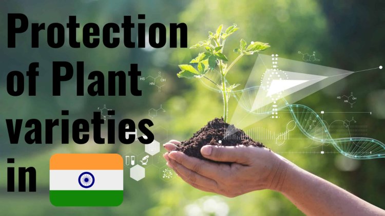 The Protection of Plant Varieties in India: A Comprehensive Analysis