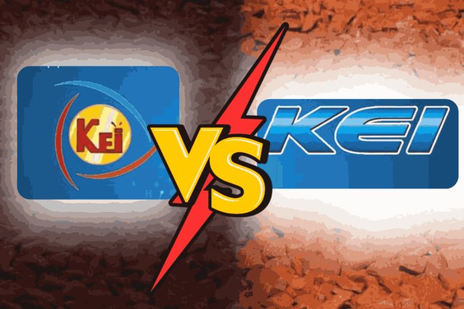 Kei Industries Limited v. Mr Raman Kwatra & Anr.