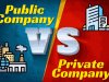 DISTINGUISH BETWEEN PUBLIC COMPANY AND PRIVATE COMPANY