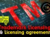 Trademark Licensing and licensing agreement/clauses