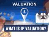 WHAT IS IP VALUATION?  THE ROLE OF IP IN THE VALUE OF A STARTUP