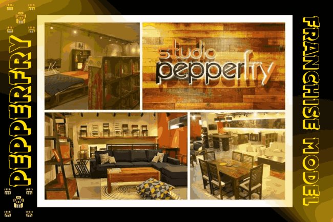 Pepperfry Franchise model