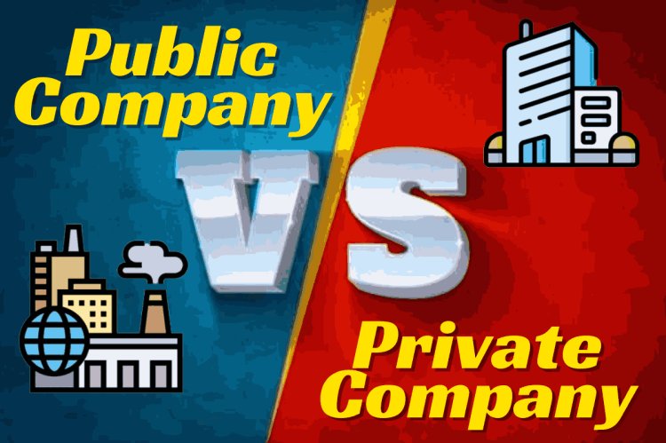 DISTINGUISH BETWEEN PUBLIC COMPANY AND PRIVATE COMPANY