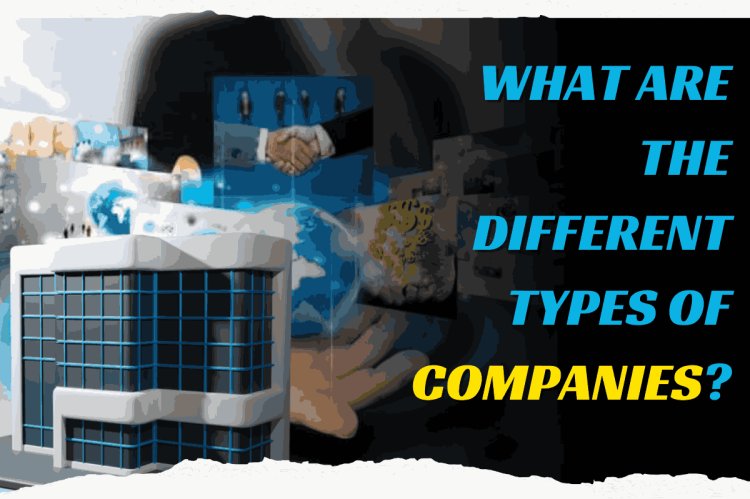 What are the different types of companies?