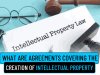WHAT ARE AGREEMENTS COVERING THE CREATION OF INTELLECTUAL PROPERTY.