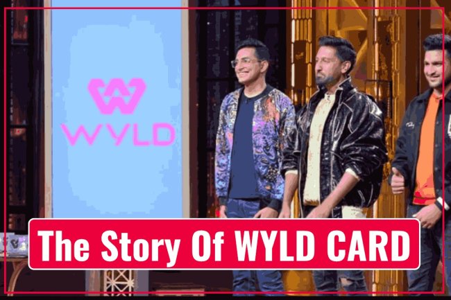 The Story Of WYLD CARD   