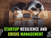Startup resilience and crisis management:- Analyzing how startups navigate and recover from crises, such as economic downturns, natural disasters, or global pandemics.