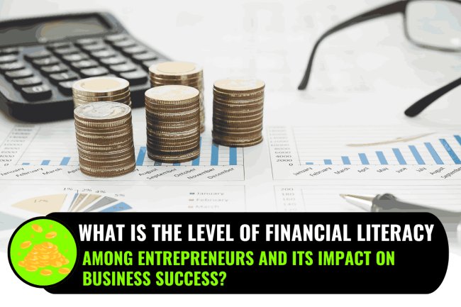 What is the level of financial literacy among entrepreneurs and its impact on business success?