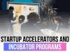 Startup Accelerators and Incubator Programs