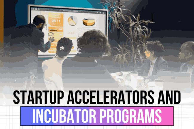 Startup Accelerators and Incubator Programs