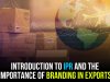 INTRODUCTION TO IPR AND THE IMPORTANCE OF BRANDING IN EXPORTS