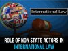 ROLE OF NON STATE ACTORS IN INTERNATIONAL LAW