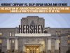 Hershey Company vs. Dilip Kumar Bacha and others: The question of jurisdiction concerning rectification and cancellation petitions under S. 57 of TMA