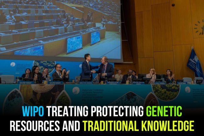 WIPO TREATING PROTECTING GENETIC RESOURCES AND TRADITIONAL KNOWLEDGE