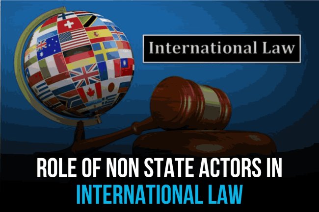 ROLE OF NON STATE ACTORS IN INTERNATIONAL LAW