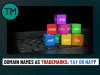 Domain Names as Trademarks: Yay or Nay?