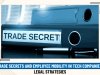 TRADE SECRETS AND EMPLOYEE MOBILITY IN TECH COMPANIES: LEGAL STRATEGIES