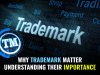 Why Trade Mark Matter: Understanding Their Importance   