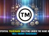 Potential Trademark Bullying Under the Name of 'Well-Known Trademark'