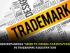 Understanding "Send to Vienna Codification" in Trademark Registration