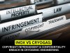 Inox vs Cryogas: Copyright Infringement & Confidentiality Breach in Cryogenic Engineering