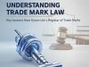 Understanding Trade Mark Law: Key Lessons from Dyson Ltd v. Registrar of Trade Marks (C-321/03)