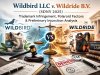 Wildbird LLC v. Wildride B.V. (SDNY 2025): Trademark Infringement, Polaroid Factors & Preliminary Injunction Analysis