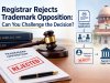 Registrar Rejects Trademark Opposition: Can You Challenge the Decision?