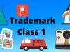 TRADEMARK CLASS 1 Use and details 