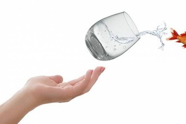 Get out of your comfort zone and realize your dreams