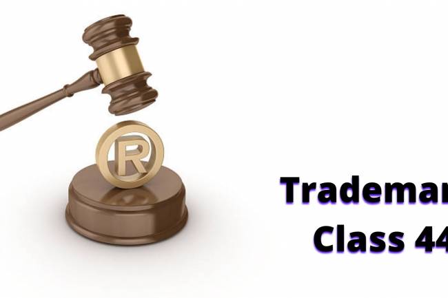 TRADEMARK CLASS FOURTY-FOUR