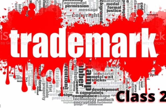 TRADEMARK CLASS TWENTY-NINE