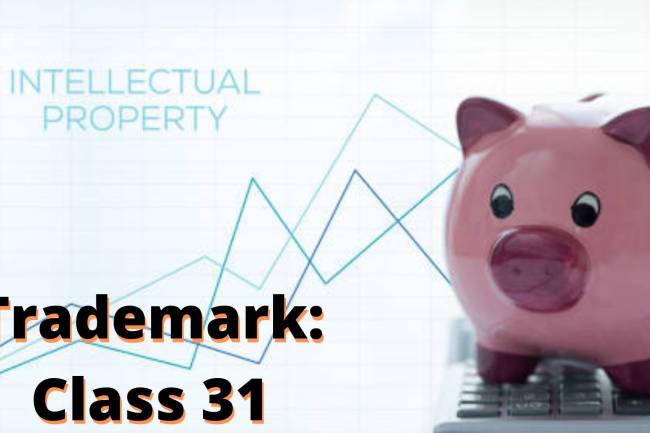 TRADEMARK CLASS THIRTY-ONE