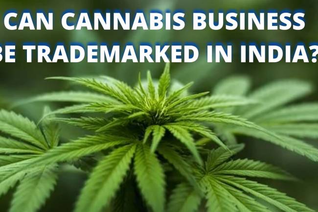 CAN CANNABIS BUSINESS BE TRADEMARKED IN INDIA?