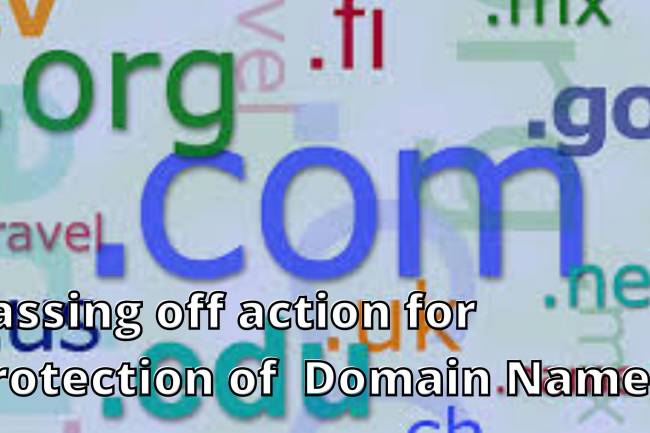 Passing off action for the protection of the Domain Names