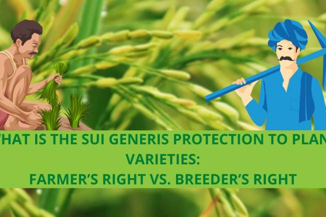 WHAT IS THE SUI GENERIS PROTECTION TO PLANT VARIETIES: FARMER’S RIGHT VS. BREEDER’S RIGHT