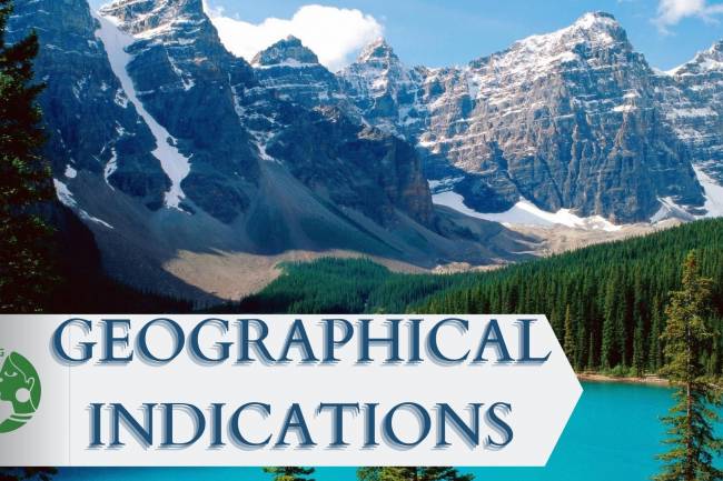 GEOGRAPHICAL INDICATION