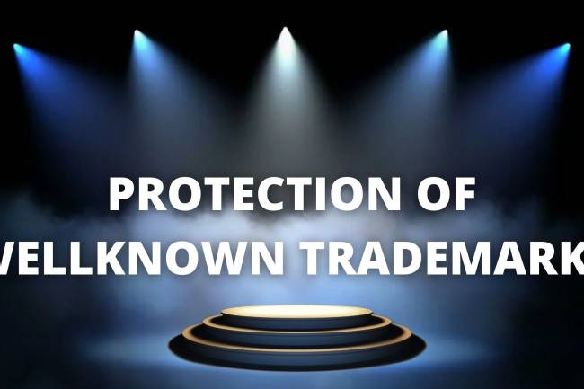 PROTECTION OF WELL-KNOWN TRADEMARKS