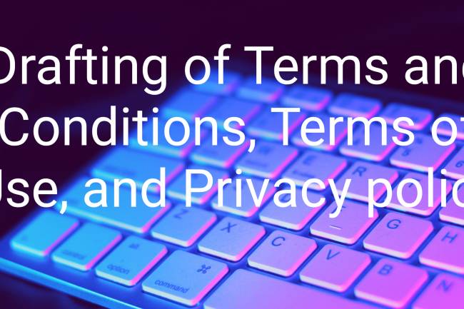 Drafting of Terms and Conditions, Terms of use, and Privacy Policy