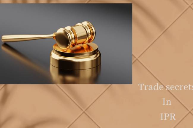 TRADE SECRETS IN  IPR