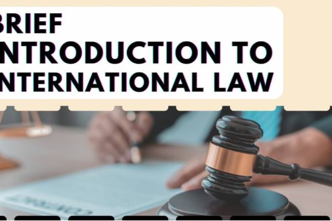 BRIEF INTRODUCTION TO INTERNATIONAL LAW