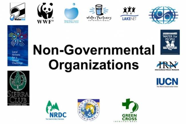 Non-Governmental Organization
