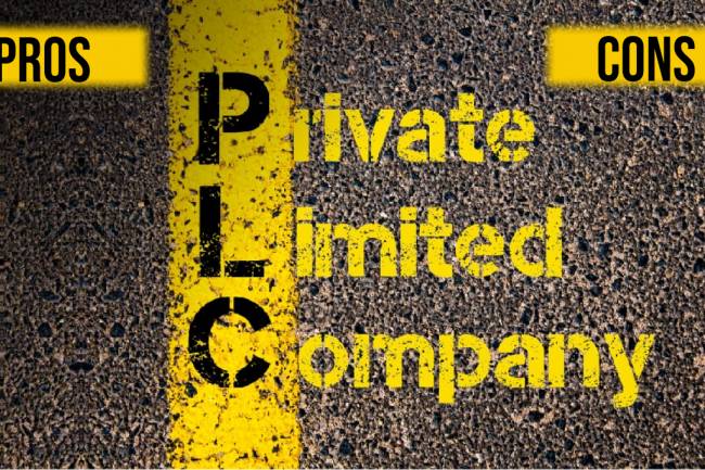 Private Limited Company – Pros and Cons