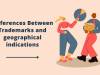 Differences Between Trademarks and geographical indications