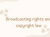 Broadcasting rights and copyright law.