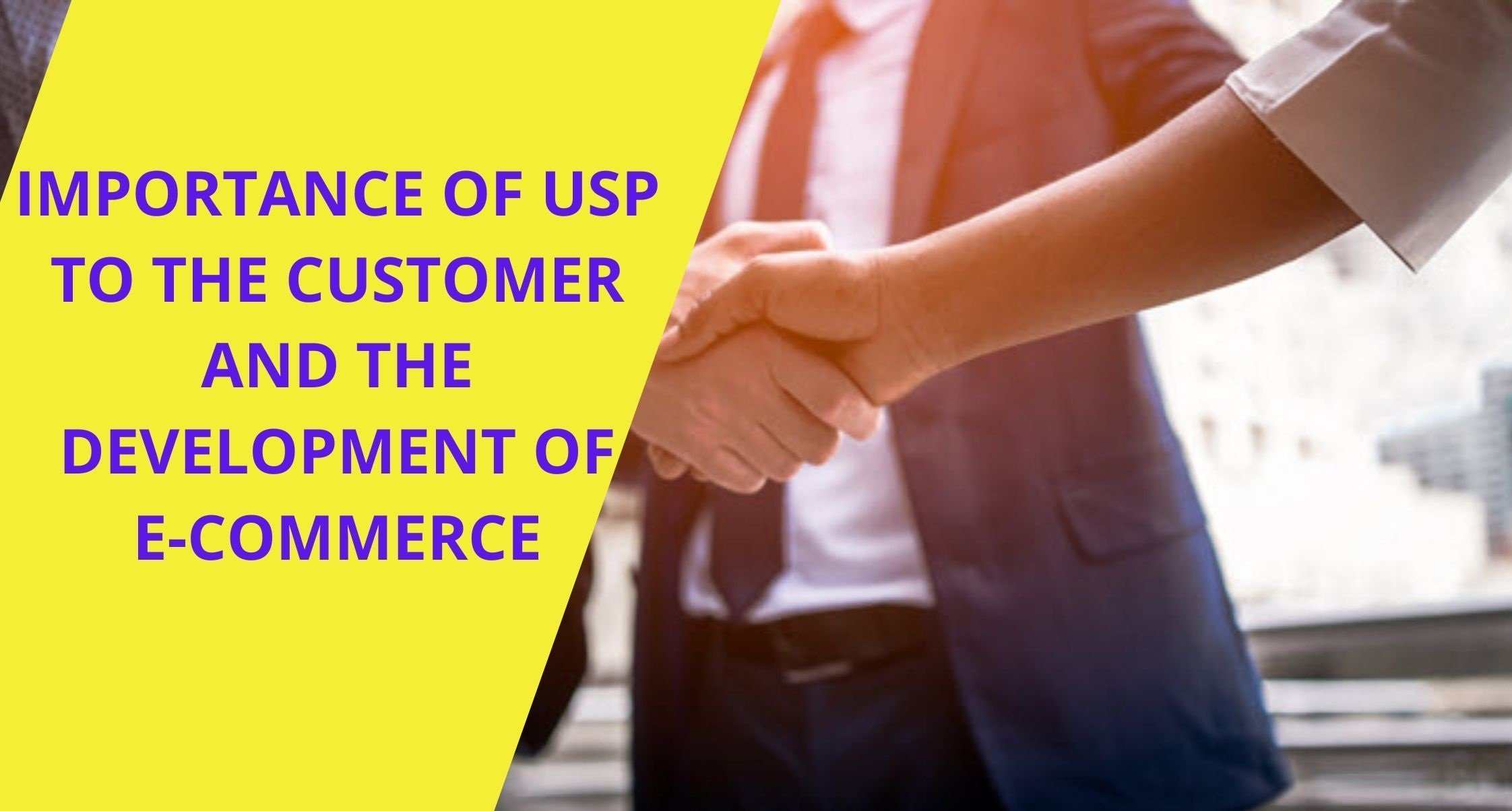 HOW IMPORTANT IS A UNIQUE SELLING POINT TO THE CUSTOMER AND THE DEVELOPMENT OF E-COMMERCE?