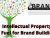IPR: A Fuel for Brand Building in India