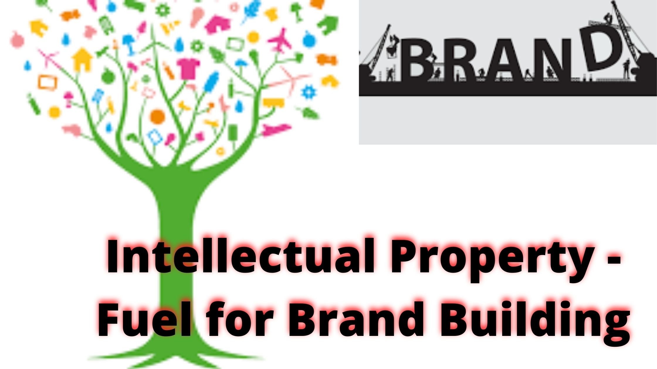 IPR: A Fuel for Brand Building in India
