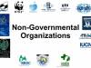 Non-Governmental Organization